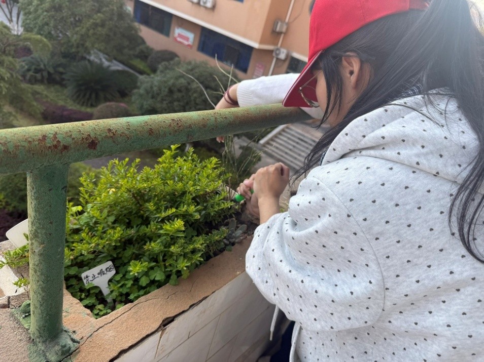 2 志愿者在细心种植.jpg