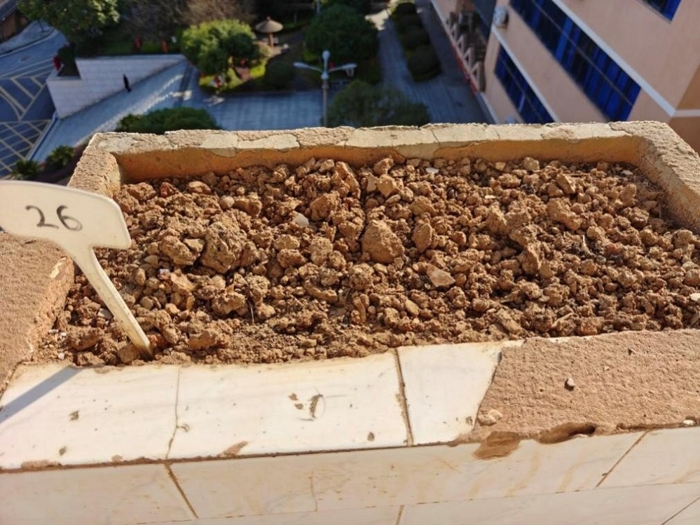 1 绿植种植前的花坛_proc.jpg