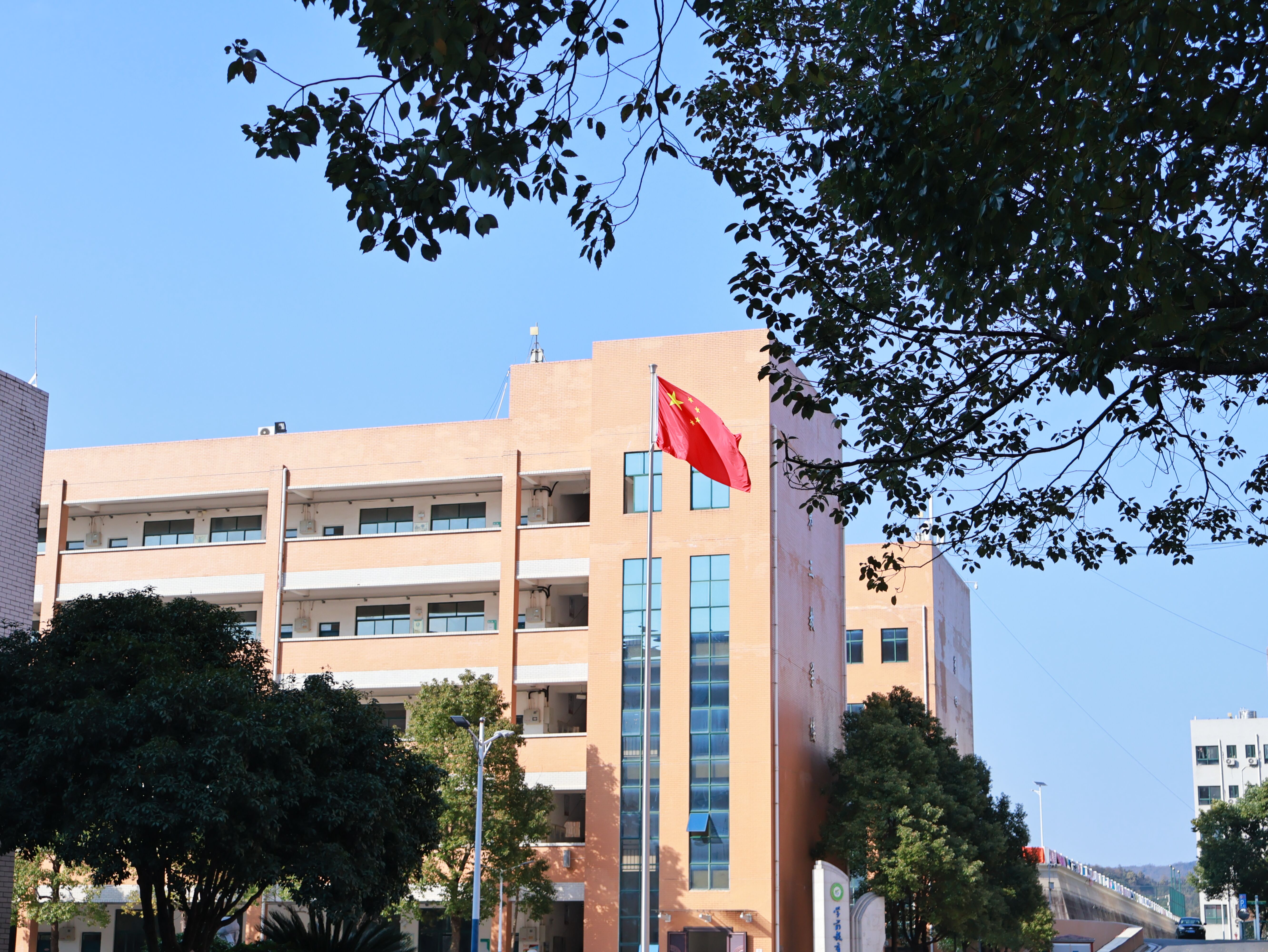 QQ图片20250301211641.jpg