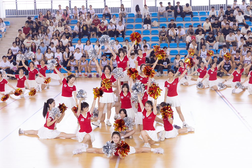 DFD8B6DFC832B3EC2F2ED013514CF799.png